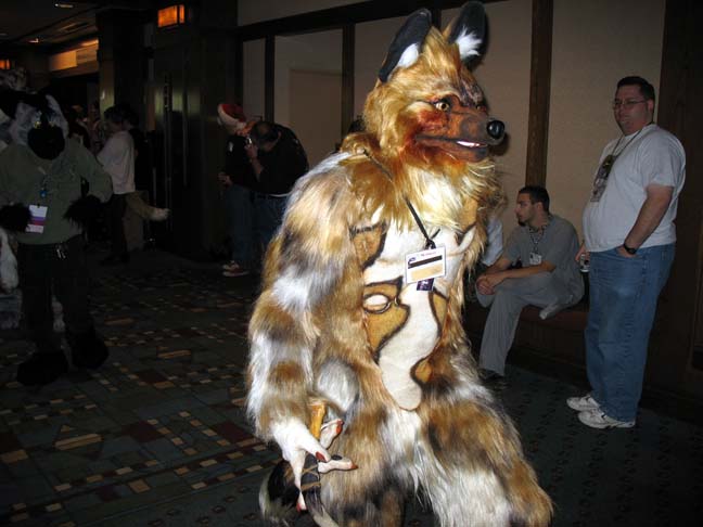 MFF2005 032.jpg